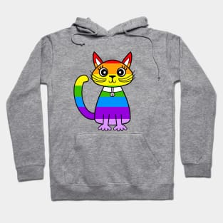 RAINBOW Cat Lovers Hoodie